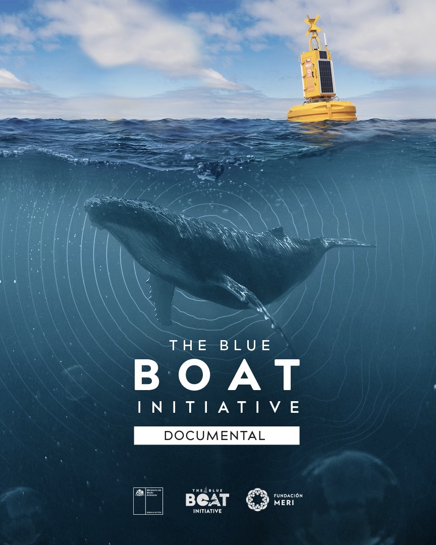 Fundación MERI tweet media