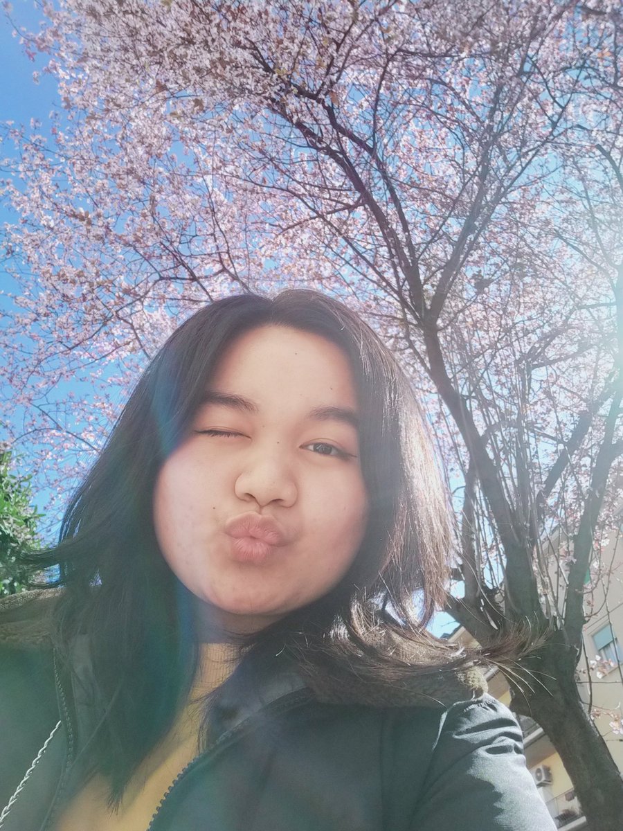 Loveresther01's tweet photo. Cherry blossom 💕 https://t.co/xoB7dGmkCY