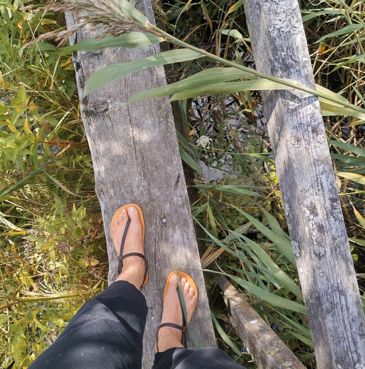 LUNAsandals's tweet photo. Needing balance? Hit the trail and rediscover your balance outside!
Take your run to the outdoors and #RunFreely for a refreshing reset. πββοΈ πΏ π±
@hannaisolammi
#runnersworld #runningsandals #runnersworldmag #runnerslife #runlife #run #running #rundeal #runhappy https://t.co/6RgE8rAgBH