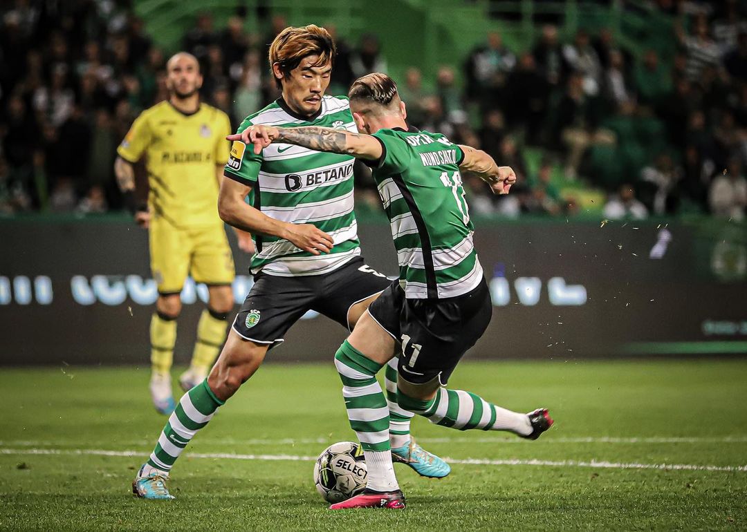 Insista, persista e nunca desista!
Obrigado Sportinguistas 💚