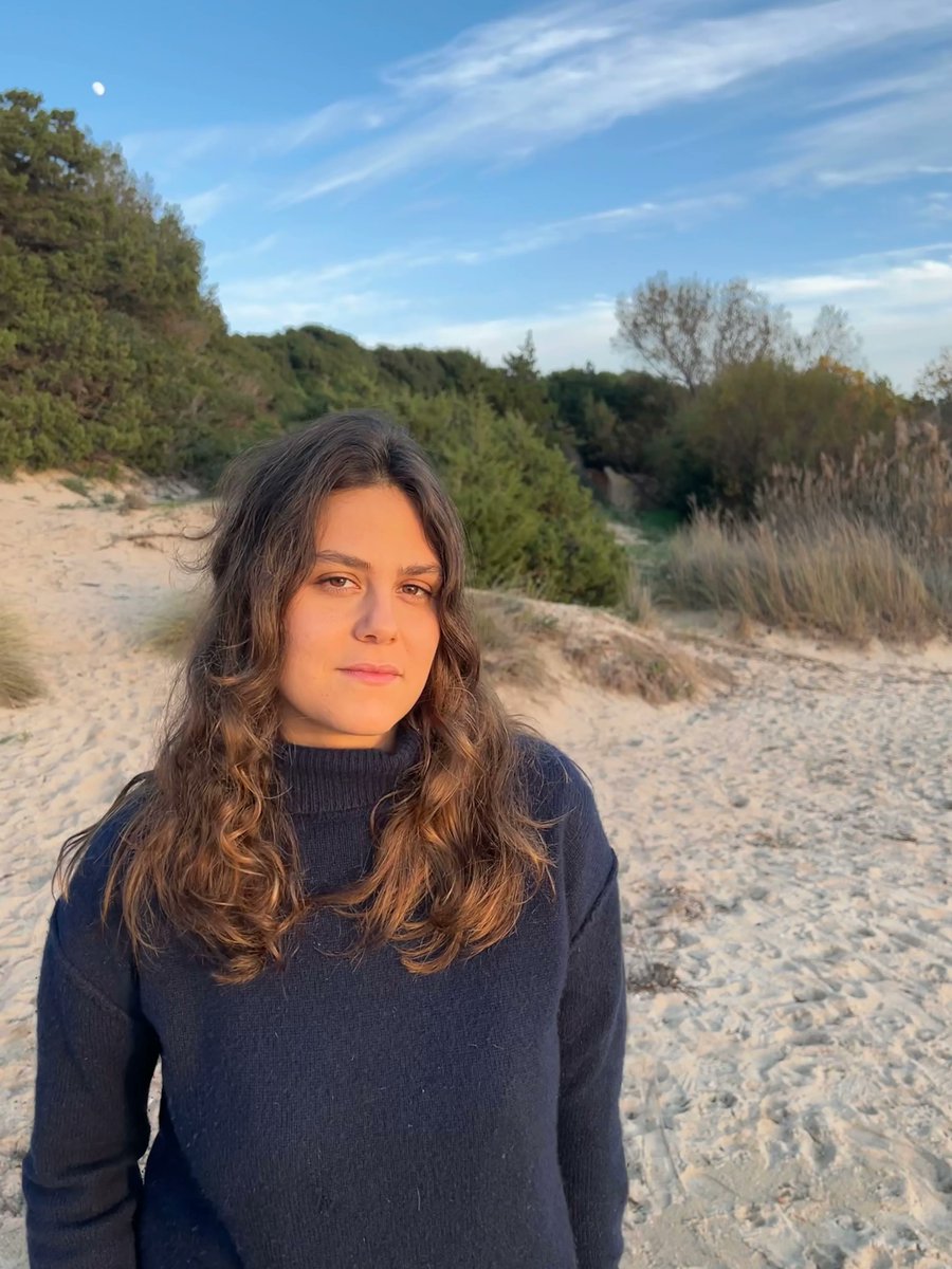 MITArchA tweet media