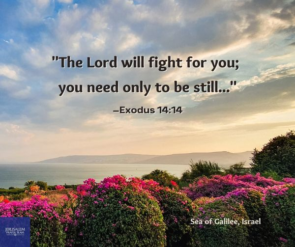 'The Lord will fight for you; you need only to be still...'
—Exodus 14:14
Amen!
#RestInHim #TheLordIsMyShepherd #PeaceBeStill #SeaOfGalilee