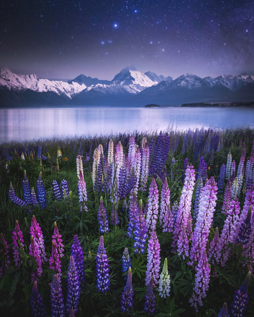 ‘Spring Equinox’ .. the final piece in my Natures Seasons edition series

I’m so humbled by how this series and this piece has been received 🥹

Allowlist is open atm for previous collectors. If there are any left I’ll be opening to the public on Monday 💙

DM if interested