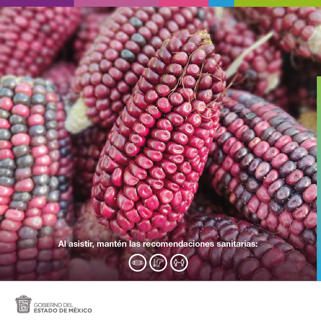 OrtizCarba's tweet photo. Ven y conoce la #ExpoAgro este 15 de marzo en #Jocotitlán, la @CampoEdomex te invita a las exposiciones de nuestros productores #Mexiquenses de la #TierraQueNosUne. ¡ Te esperamos! https://t.co/7AkIYZfo5o