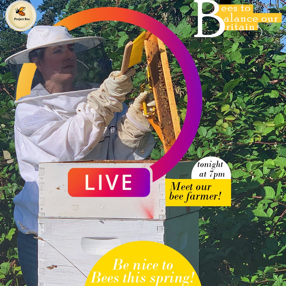 UKProjectBee's tweet photo. With #Spring around the corner, let's hear what we all can do for our bees!
Tune into our Instagram Live tonight at 7pm
#balancetheecosystem #beesofinstagram #bees🐝 #unsdg2030 #lifeonland #lifeunderwater #ProjectBeeUK
-
-
-
#UniversityofDundee https://t.co/wmCjcXo0D8