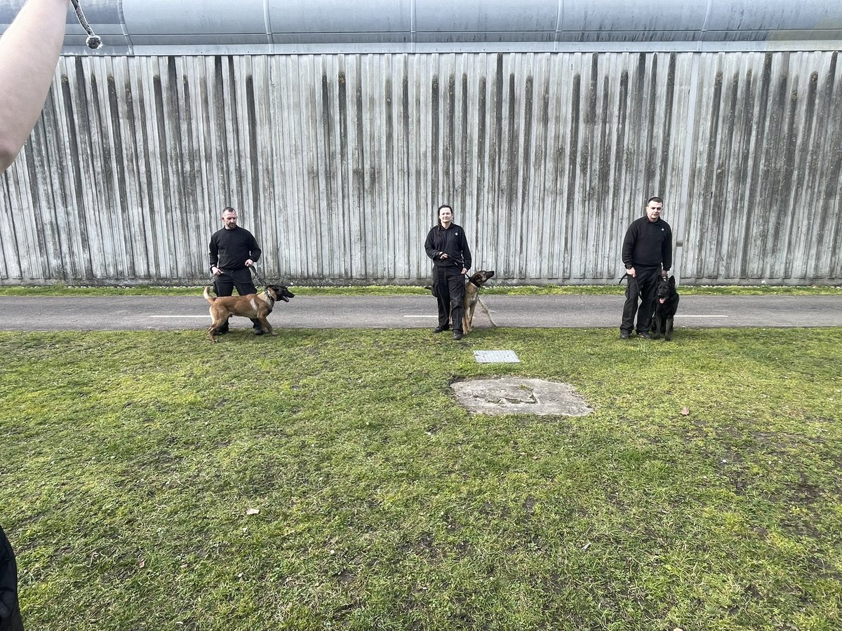 DogsHmpps's tweet image. Big day today for 6 new dogs and their handlers starting out day 1 of initial course. These teams will hopefully be working at @hmpbelmarsh @HmpManchester and @HMPFullSutton  once they have passed. Good luck to you all 🤞🏻#workingdog #k9 #prisondogs #operationaldogs