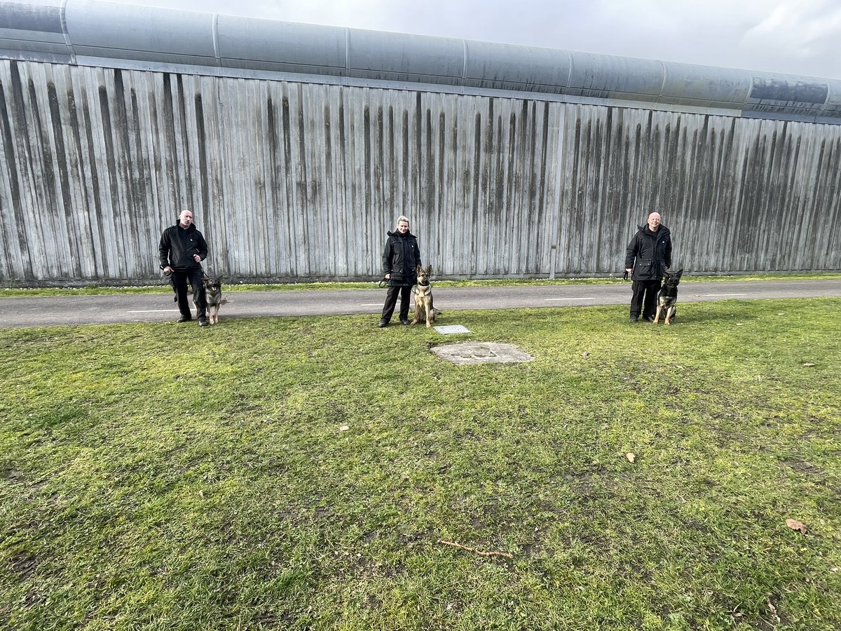 DogsHmpps's tweet image. Big day today for 6 new dogs and their handlers starting out day 1 of initial course. These teams will hopefully be working at @hmpbelmarsh @HmpManchester and @HMPFullSutton  once they have passed. Good luck to you all 🤞🏻#workingdog #k9 #prisondogs #operationaldogs