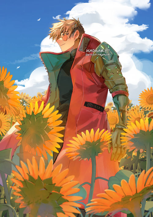 1boy flower male focus sunflower solo sky outdoors  illustration images