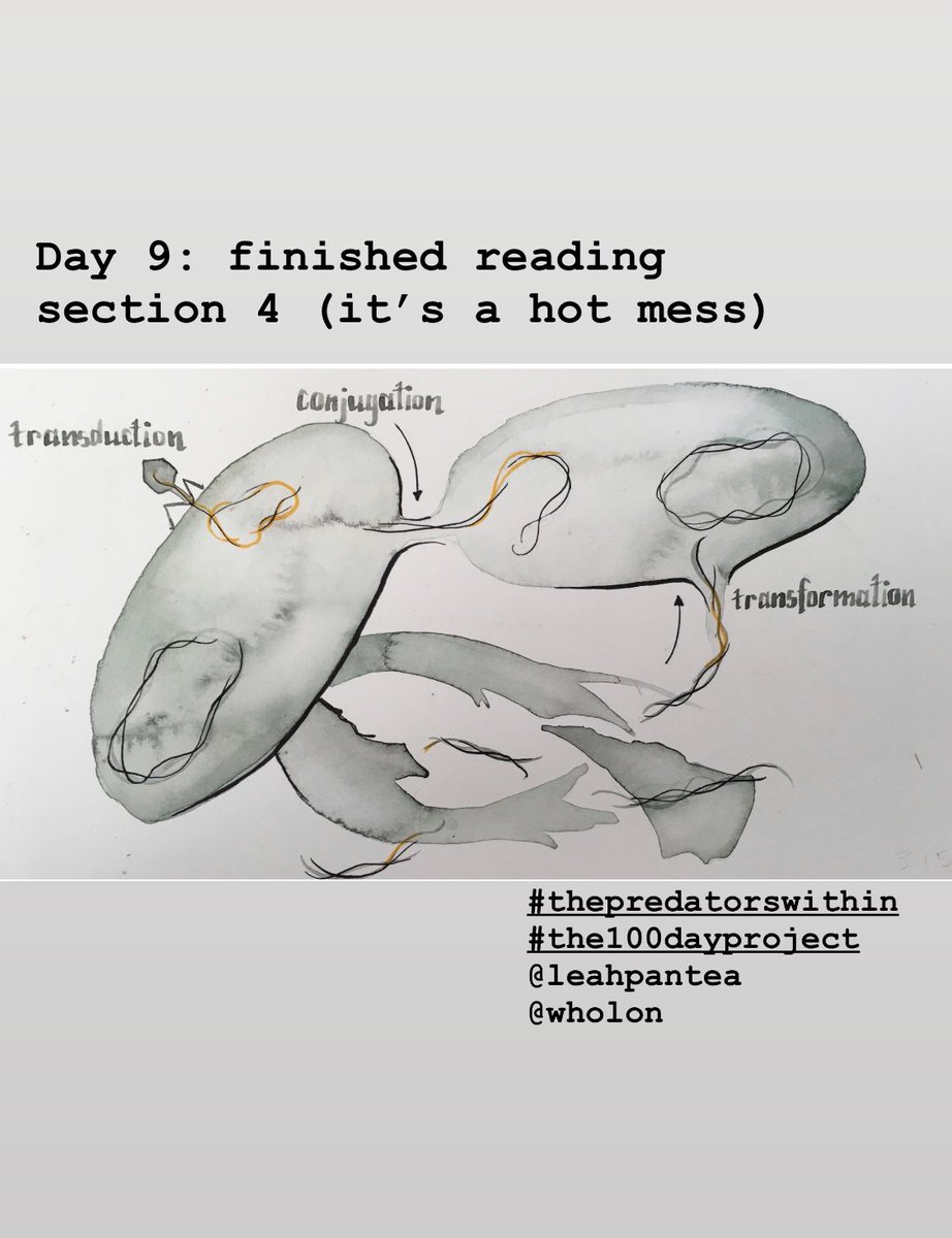 AliceAyers tweet media