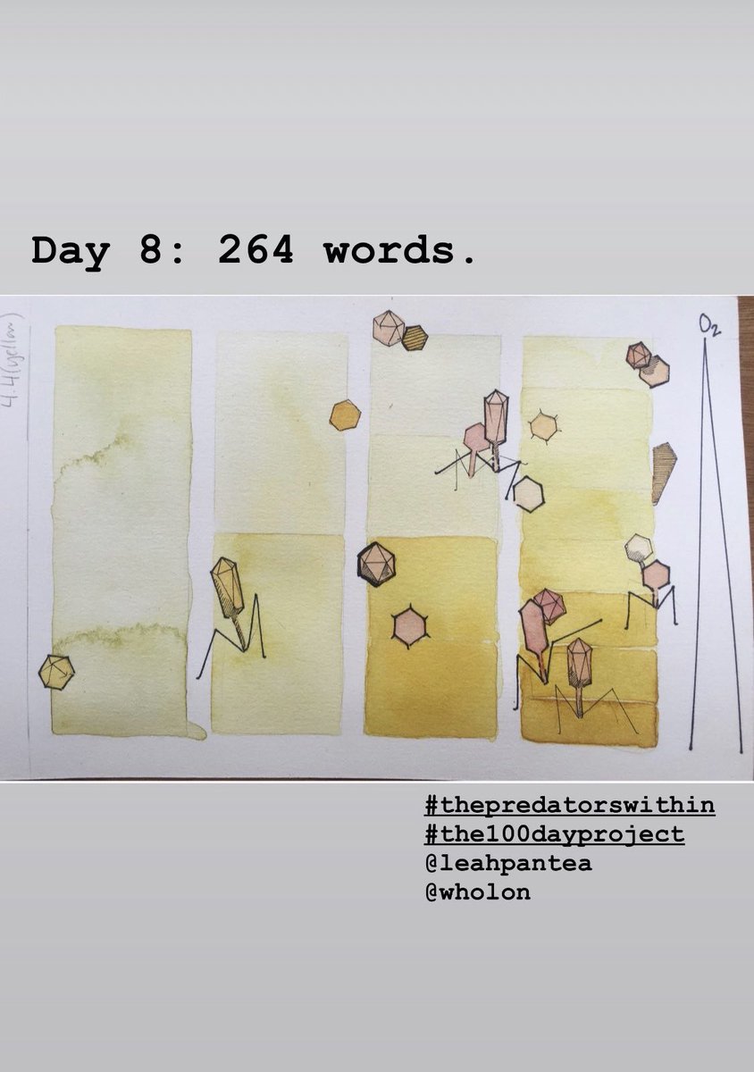 AliceAyers tweet media