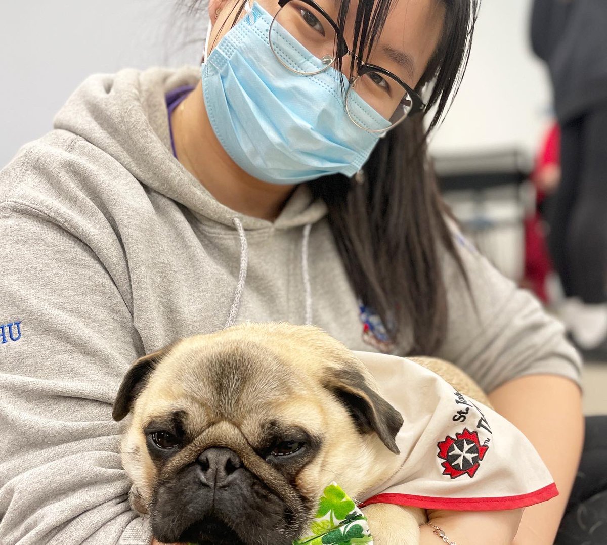 IgorPugDog's tweet photo. Did my 1st #therapydog visit @WesternU @iveybusiness … they turned me to “mush” 💜 ~ Lil C 

#pug #workingdog #kdnont #pughugs #westernuniversity @LdnTherapyDogs https://t.co/fc9hOlupvI
