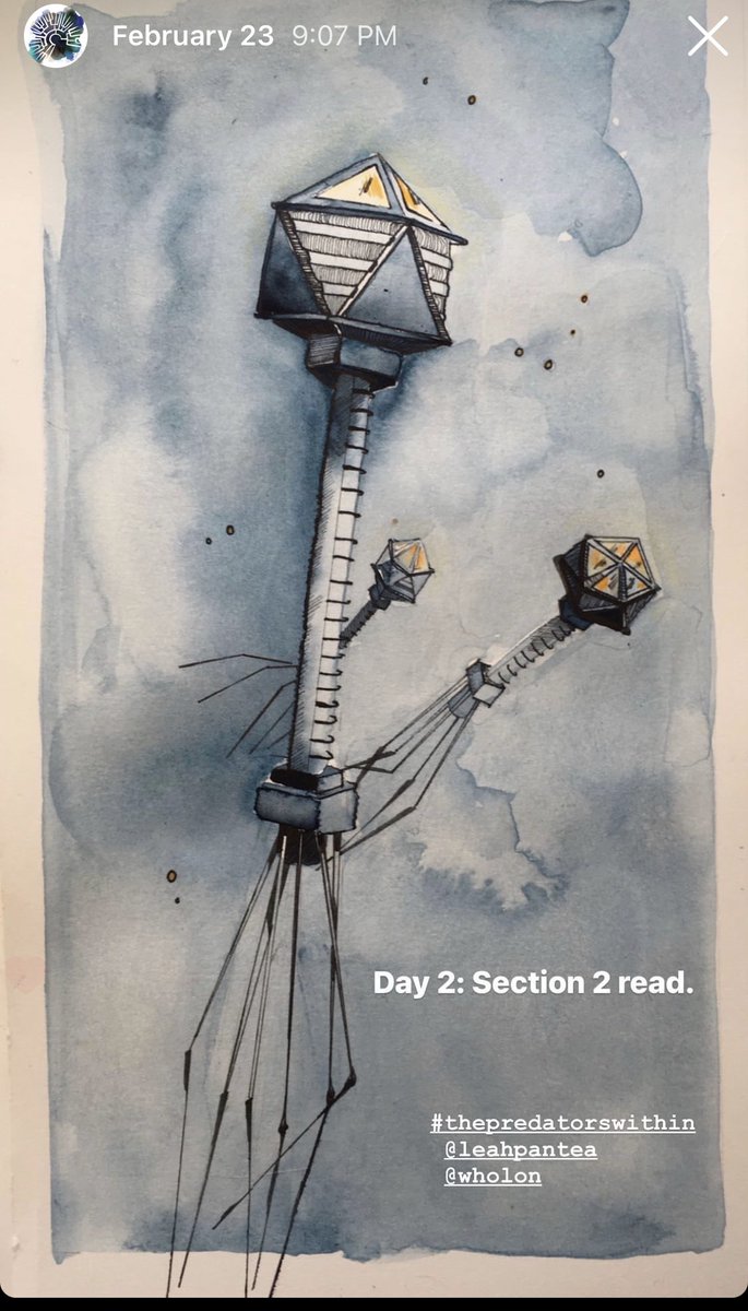 AliceAyers tweet media