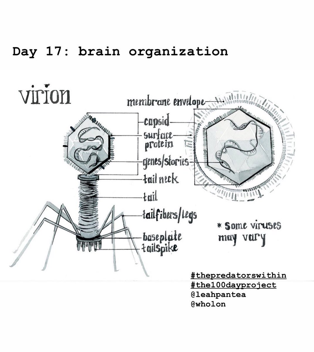 AliceAyers tweet media