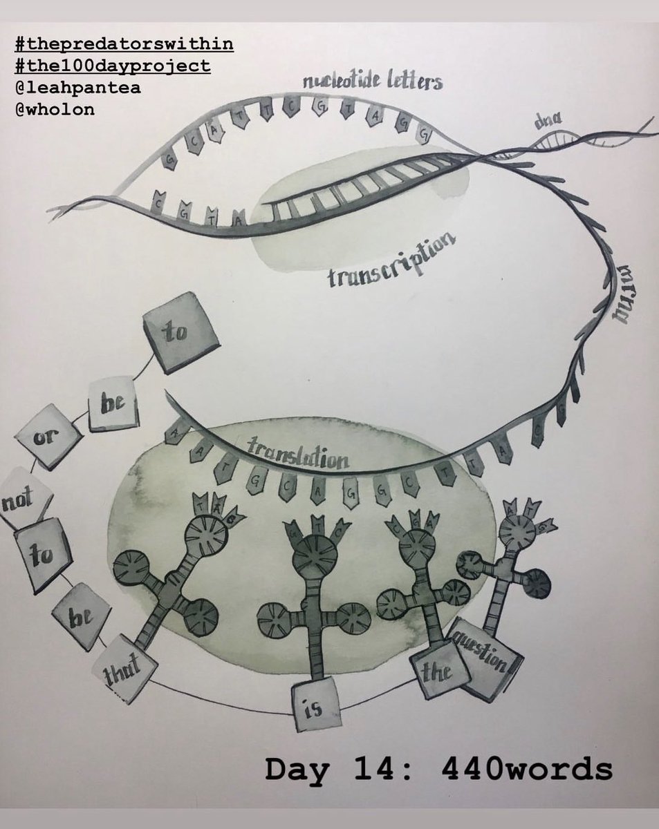 AliceAyers tweet media