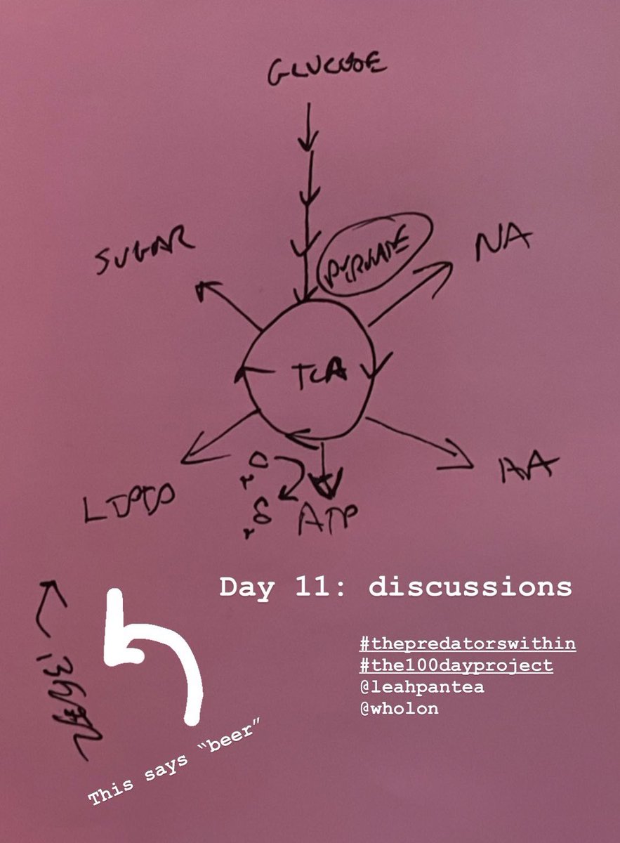 AliceAyers tweet media