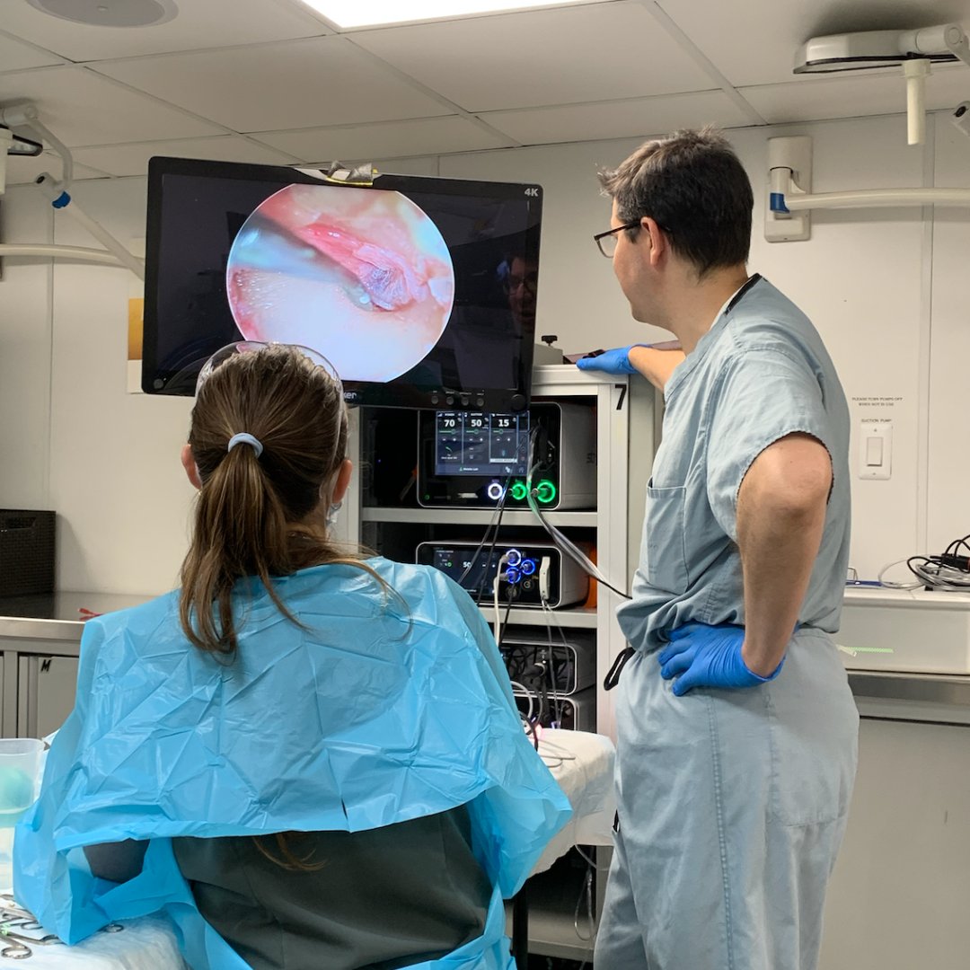 That's a wrap on our Skull Base Rodeo!
This past week, our residents participated in a training course that included workshops, hands-on labs and lateral and anterior skull base lectures. 

Swipe for a round-up of our #rodeo pics.