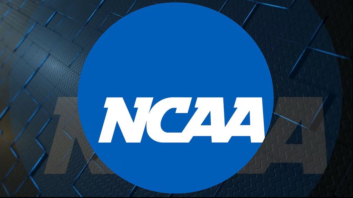 🚨Make sure you watch <a href="/BritMorganTV/">Brittany Morgan</a> @ARomanoWDBJ and <a href="/Awebb2312/">Andrew Webb</a> for coverage of the first weekend of the #NCAA Tournament this week from #Orlando and #Blacksburg at 5p, 6p and 11p on <a href="/WDBJ7/">WDBJ7</a>. 

Oh and make sure you follow them too! ⬆️

Just here to let y’all know! 💪🏾 
<a href="/WDBJ7Sports/">WDBJ7 Sports</a>