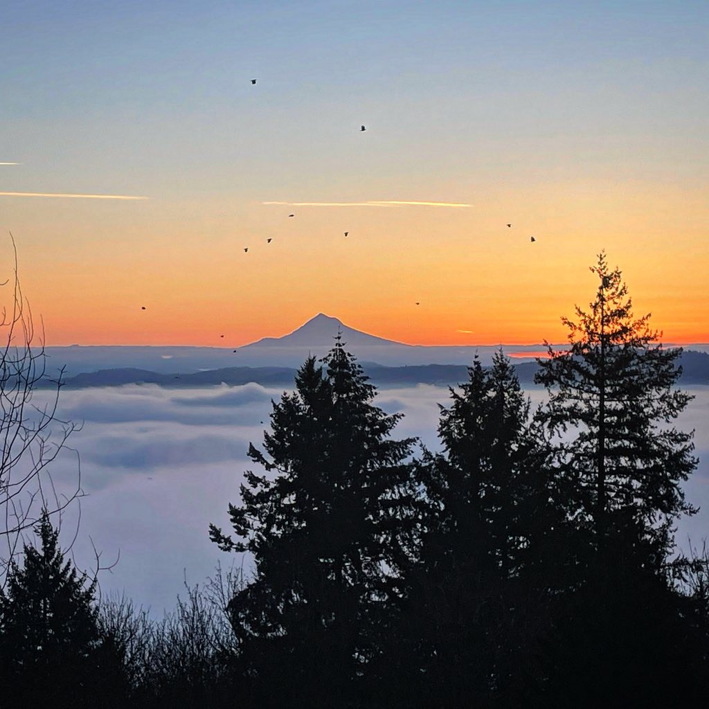 WyeastWolfpack's tweet photo. “My favorite color is sunrise.” Unknown 

#wyeast #wyeastwolfpack #getafterit #feedthegoodwolf #mthood #oregon #portland #portlandoregon #sunrise https://t.co/NhwlO4iX4A