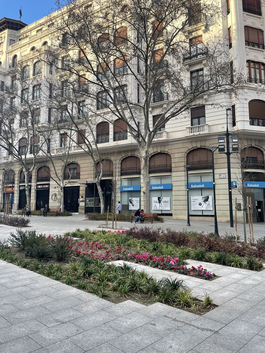 NachoCanadas's tweet photo. Puede @AlmeidaPP_ dejar de asfaltar plazas completas y meterle algo de verde aunque sea así como en Zaragoza?? Gracias!!! #MadridNecesitaVerde https://t.co/OGIqH77XvY