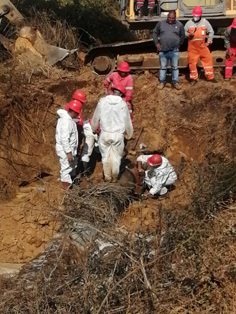 Faja_Patriota's tweet photo. 🔊🚧Como medida de prevención ejecutada por personal de @PDVSA, se realizó un control del tráfico sobre la autopista Barcelona– Píritu, garantizando así la seguridad de quienes transitan por esa arteria vial #PDVSA #PrimeraEmpresaProductiva https://t.co/UJqTd9LZ2y