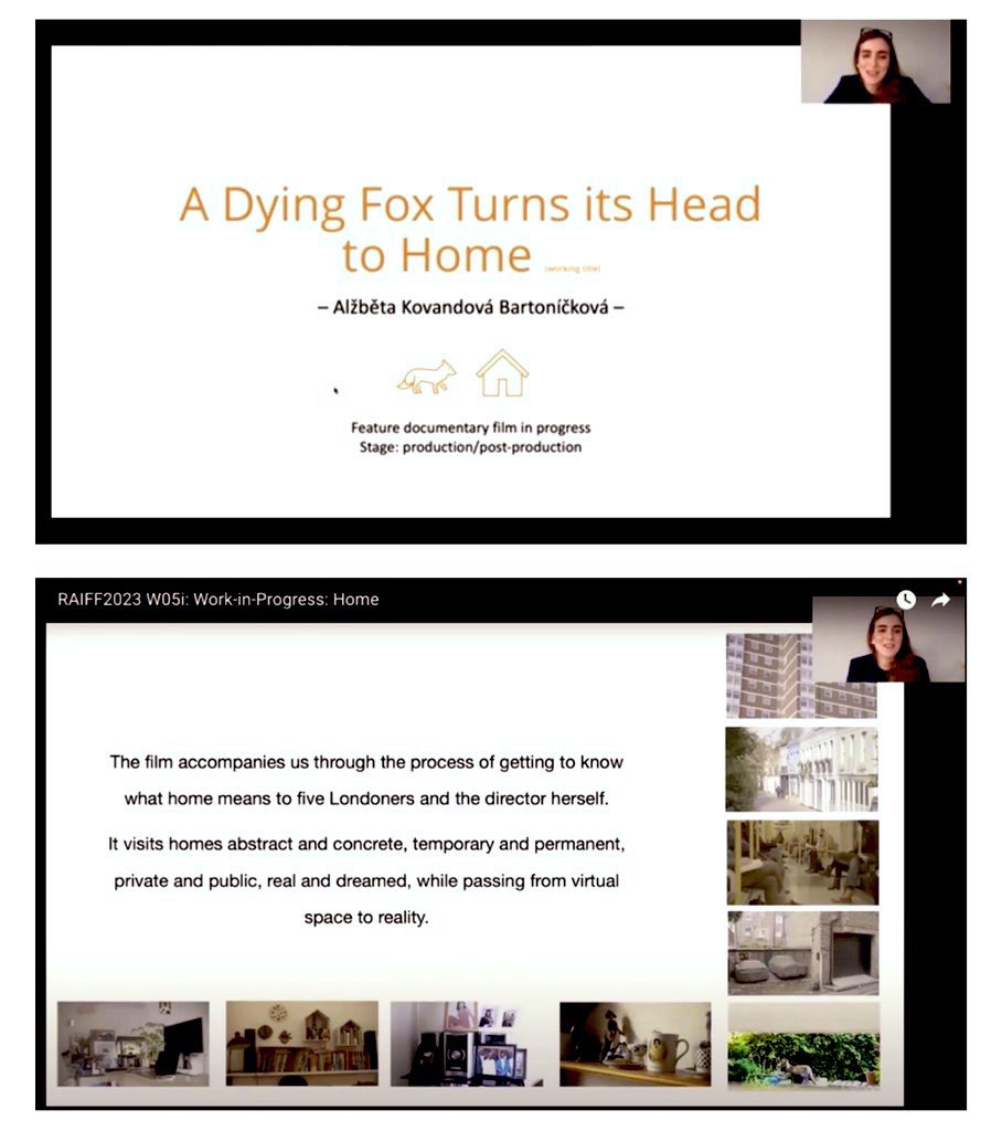 Last week I had a chance to present my film and research about the meaning of home in London at a work in progress session at the @RoyalAnthro conference & film festival.
It was a great and very helpful session, thanks for this opportunity! #raiff23