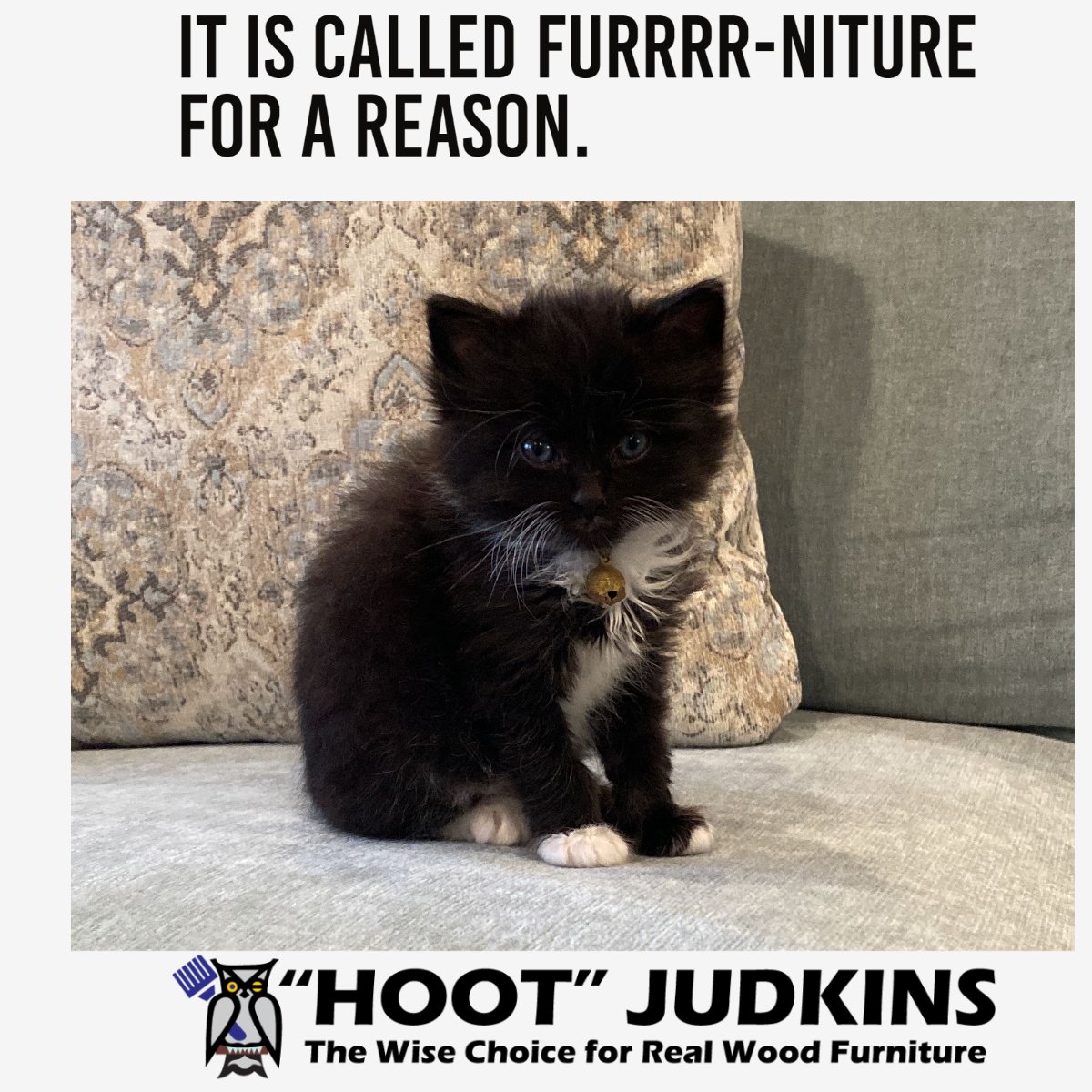 HootJudkins's tweet photo. I am not kitten you when I tell you we have the Bay Area's best selection of real wood &amp; upholstered furrrrrniture made in the USA. Visit our huge showroom today!
#furniture #woodfurniture #redwoodcity #realwoodfurniture #bayarea #shopsmallbusiness #springsale #kittensofinstagram https://t.co/jDh3KMyNJ6