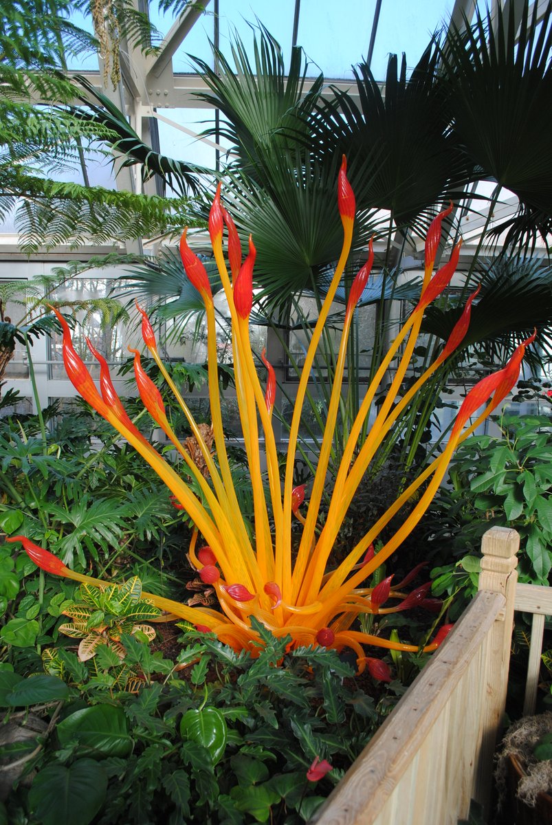 MYQUALITYTIME's tweet photo. MY QUALITY TIME: Wisdom Jokes &amp; Travel... At My Quality Time Blog Franklin Park Conservatory and Botanical Gardens A collection of glass works by artist Dale Chihuly Wisdom Jokes &amp; Travel https://t.co/le82KWIji3 https://t.co/dGB5U5X7c8
