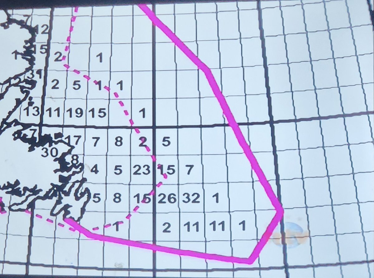 FTNFLD's tweet photo. Looks like I wasn't the only one who didn't know how to play minesweeper. @EddieSheerr #nlwx https://t.co/xDwMmqDDc5