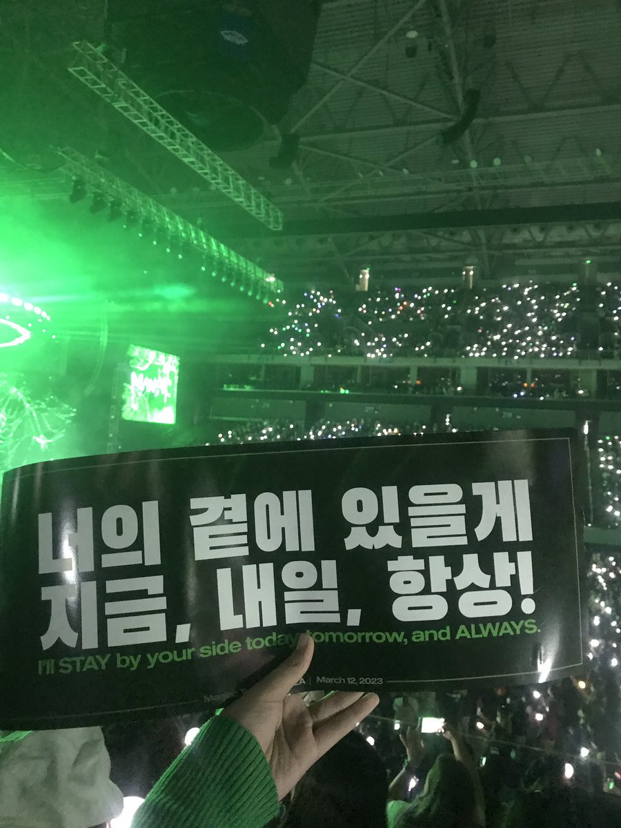 skzstufff's tweet photo. Will always in all ways be your never-ending stay. #STRAYKIDSINLA 💚 https://t.co/ZT6GVGf0Gc
