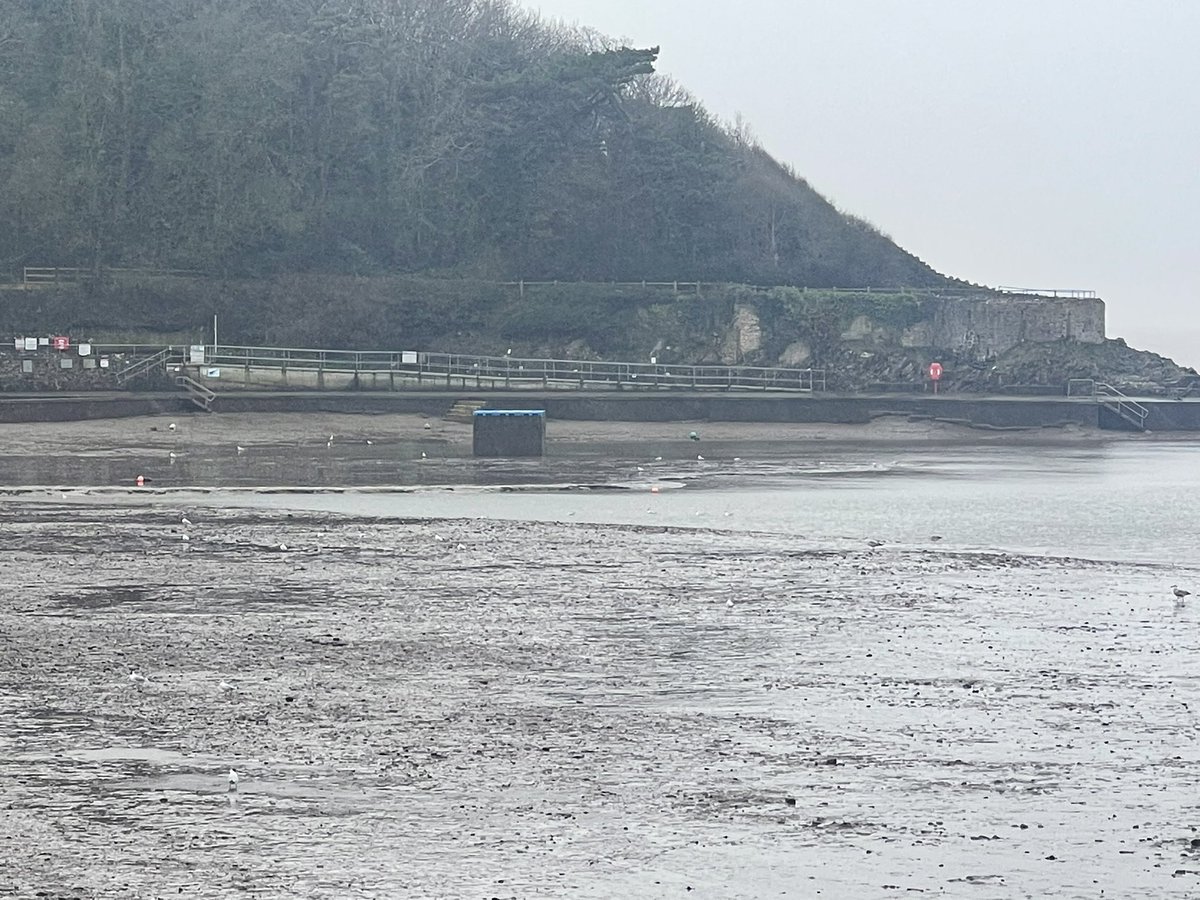 foxcrews1's tweet photo. Super rare view of @clevedonlake empty! Dredging happening in boating lake. Wonder if theyโll do the rest? Be nice. It drained fairly fast once they took the plug out!
#clevedonmarinelake
#clevedon
#northsomerset
#gettingreadyforsummer https://t.co/Ba1UnyJmKi