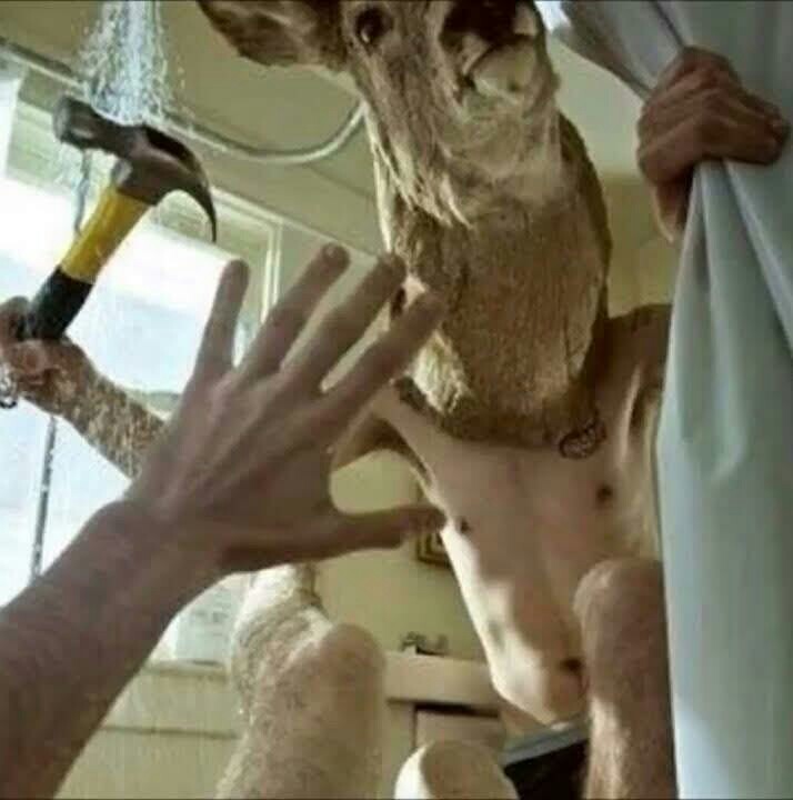 Gerdeer tweet media