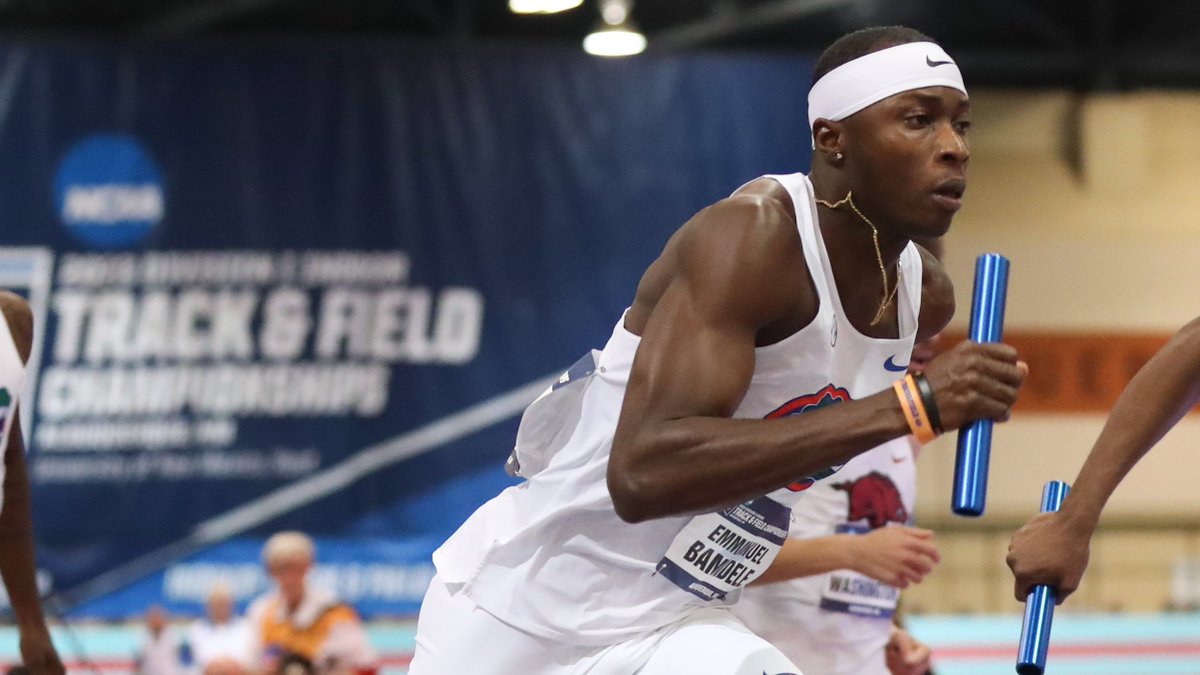 Gators Track and Field & Cross Country tweet media