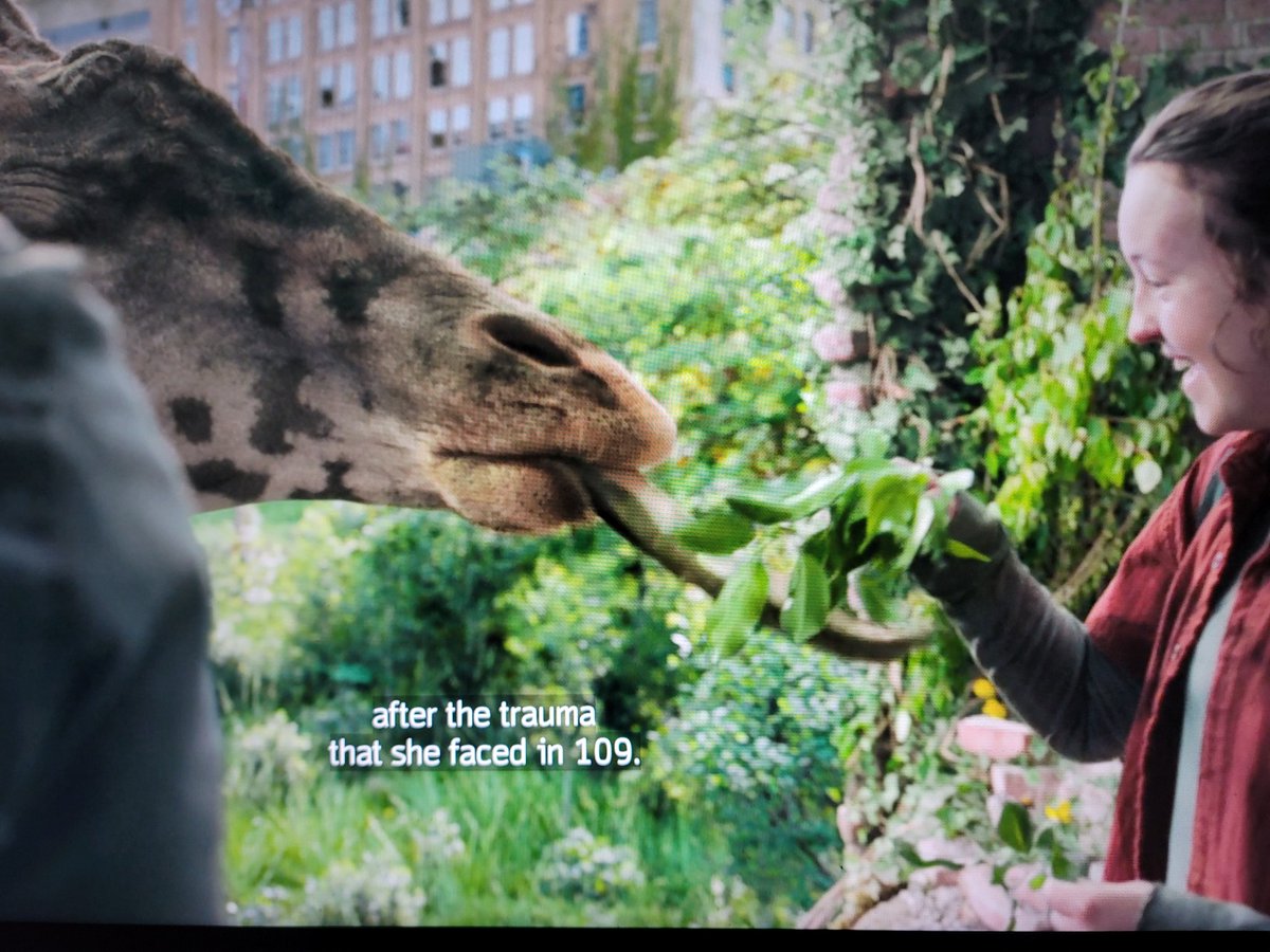 Slplsknights tweet media