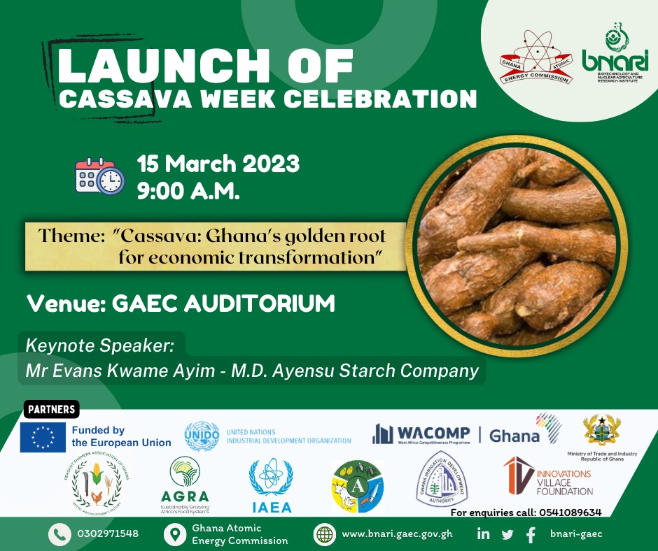 WACOMPGhana's tweet photo. Get ready to celebrate the #cassavaweek with us in partnership with Biotechnology and Nuclear Agriculture Research Institute (BNARI) starting this Wednesday 15th March 2023
Venue : GAEC Auditorium
Time: 9 AM
#cassava #cassavaderivatives #BINARI #UNIDO #SDGs #EUinGhana #GAEC https://t.co/vgnSDA9XMb