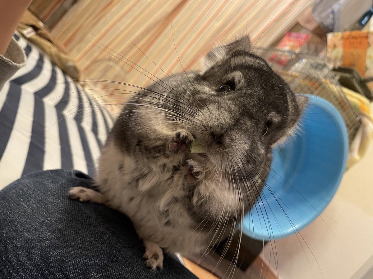 h_63aaa's tweet photo. 元気に過ごしてますかわいい https://t.co/D4CC4lVhld