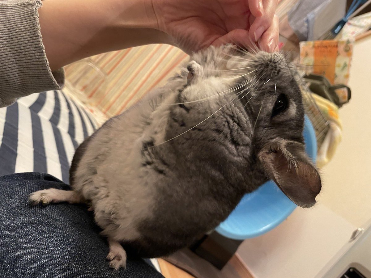 h_63aaa's tweet photo. 元気に過ごしてますかわいい https://t.co/D4CC4lVhld