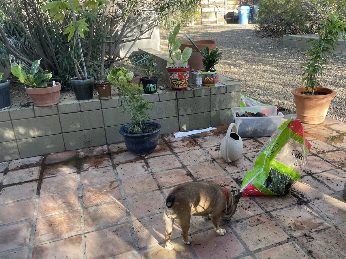 paintedpenroses's tweet photo. Father-child bonding day working on my desk garden https://t.co/Kznrm364Ws