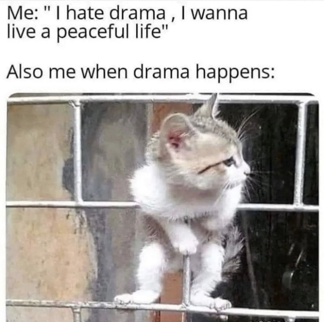 introvertsmemes's tweet photo. 🤣 https://t.co/lw2HeBBwOa