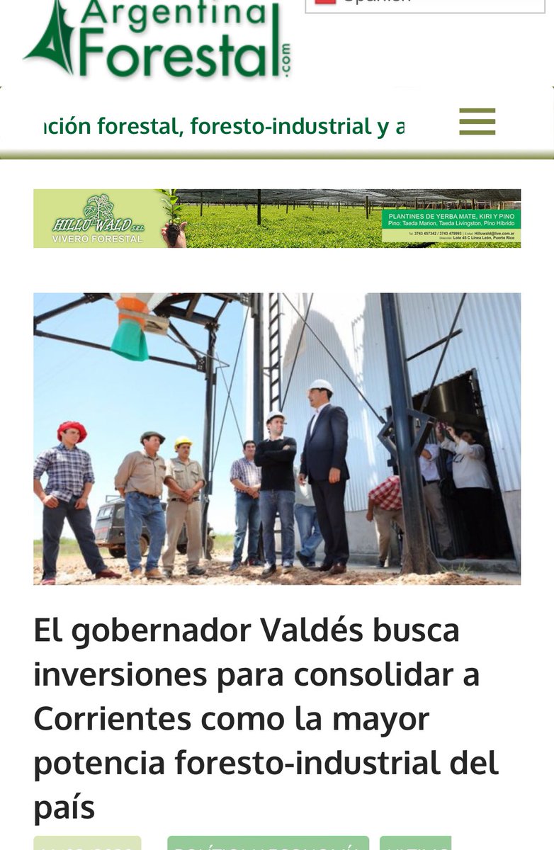 verosapucay's tweet photo. @EnriqueViale @renata_nich No, no hay maputruchos pero tenemos hace más de 20 años esta gente gobernando y la provincia está en llamas hace más de dos y no pueden apagar/prevenir/controlar. En lo que va del año ya se quemaron más 100.000 hectáreas
#PoloForestal
#CorrientesArde https://t.co/WA11wBki9w