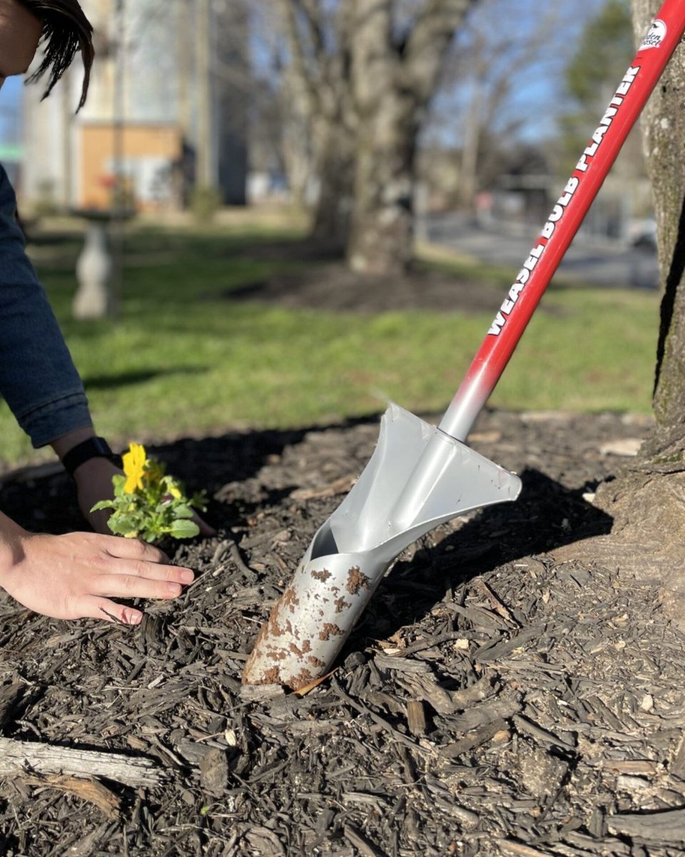 weasel_garden's tweet photo. Get ready for a beautiful spring garden with the Garden Weasel Bulb Planter! 

With its durable construction and comfortable handle, the Bulb Planter is perfect for digging holes for bulbs of all shapes and sizes.

https://t.co/t2ZDCX3f6a https://t.co/YB9dEILvyp