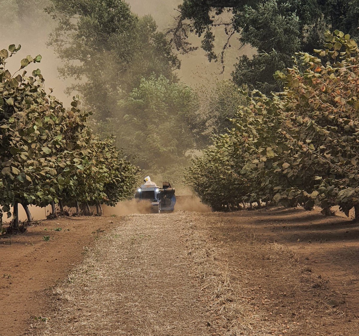 Compartimos algunas imágenes de la preparación y charla técnica de equipos de cosecha de Avellanas Weiss McNair, realizada por el Técnico Pedro Carvajal, de nuestro Sponsor <a href="/agroimec/">Agroimec Ltda</a> 
Barredor JD40 sin cabina y Cosechadora 836 para Avellanas. 

#40añosgtt #cosechaavellanos