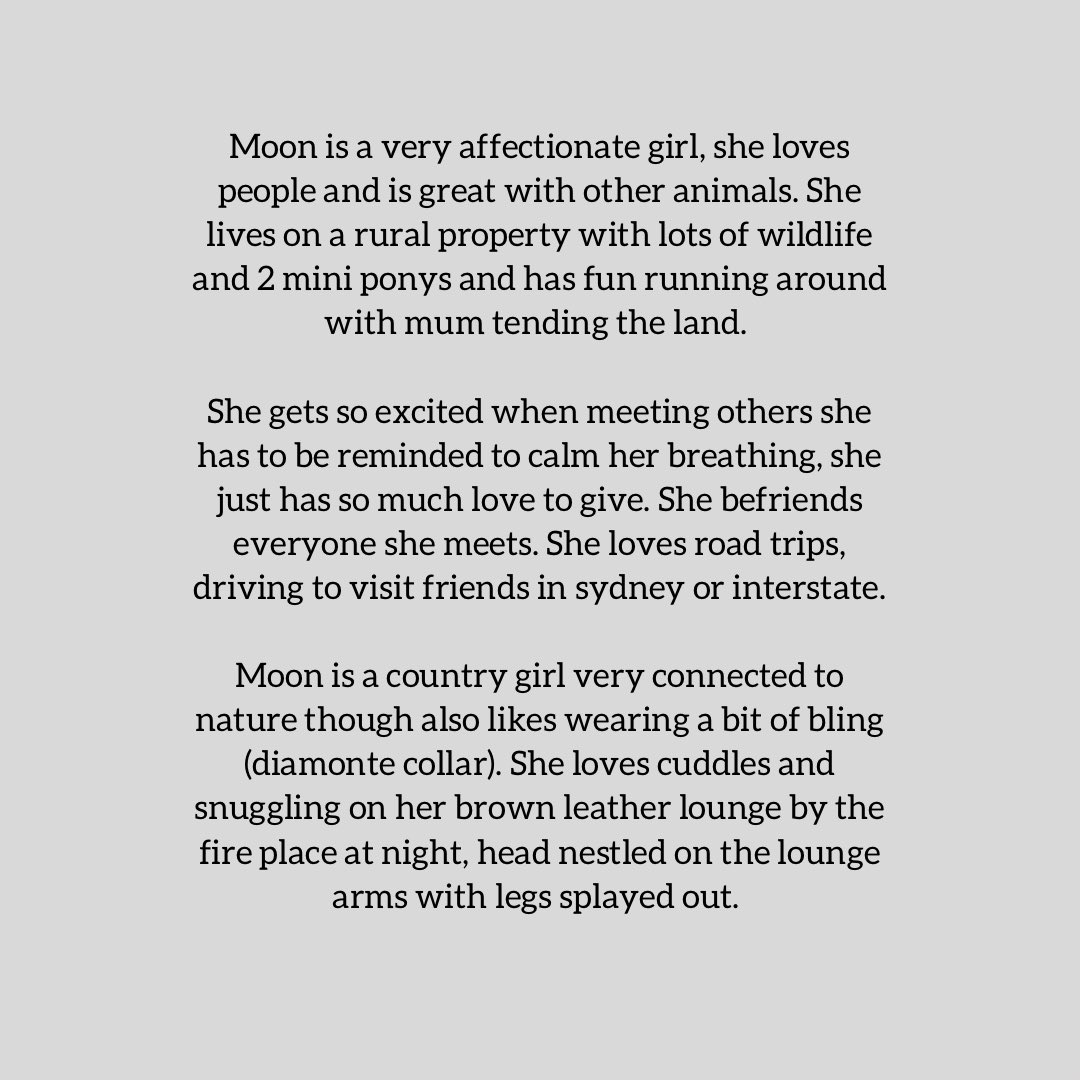 Moon

Moon is a few years old now, she lost her right eye as a puppy in a playful but freak accident with another family dog and her owner still upset about it. Her dear friend organised commission for the owner. 

#dogart #dogoftwitter #dogportrait 
Instagram @chellejung_draw