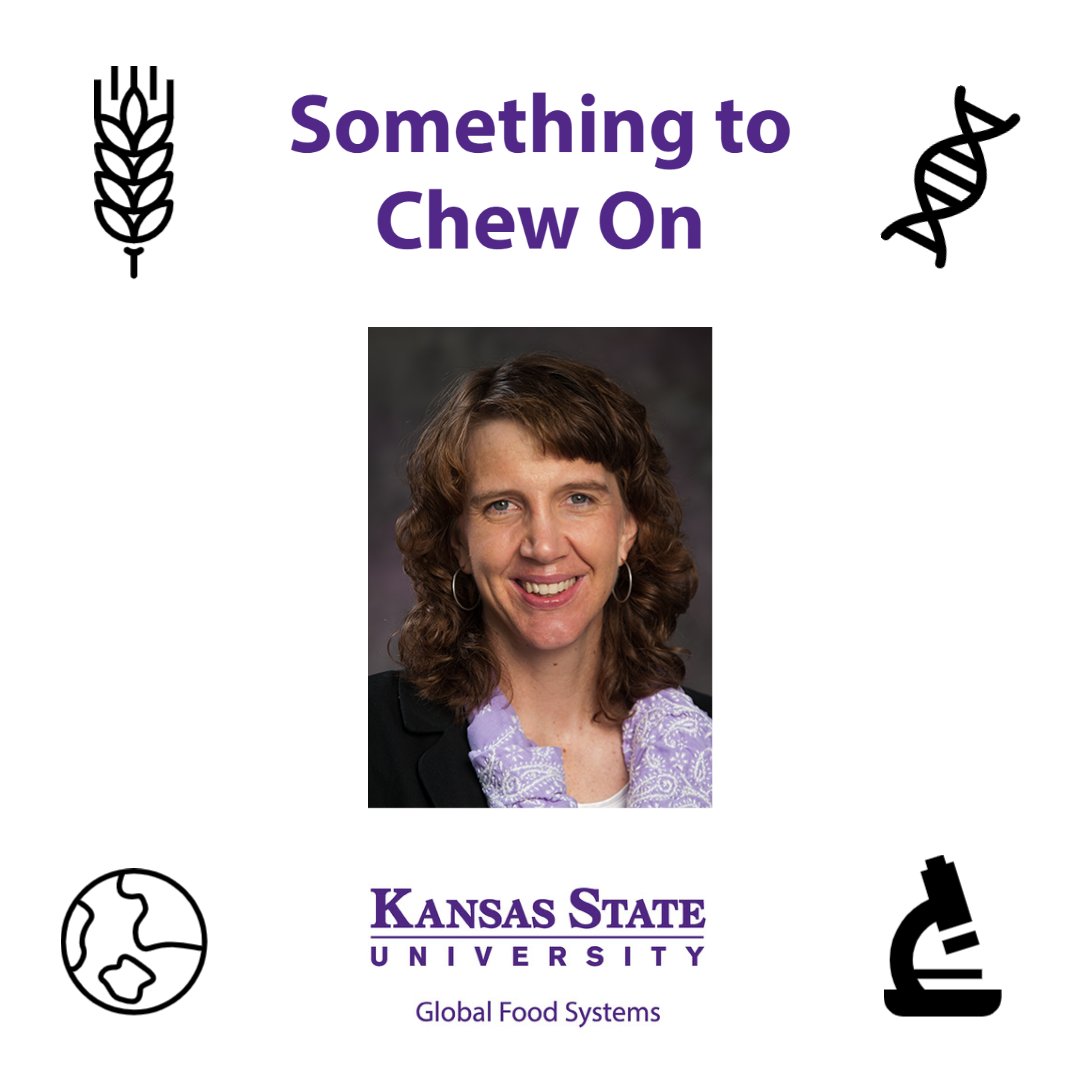 KStateResearch's tweet photo. Check out the latest episode of Something to Chew On and hear Londa Nwadike, extension associate professor of food safety, talk about the connection between food security and food safety, starting at the local level. @KStateRE @kstateag @KStateAgRsch
🎙️https://t.co/gSRcvDQ49o https://t.co/a5mBGJpesN