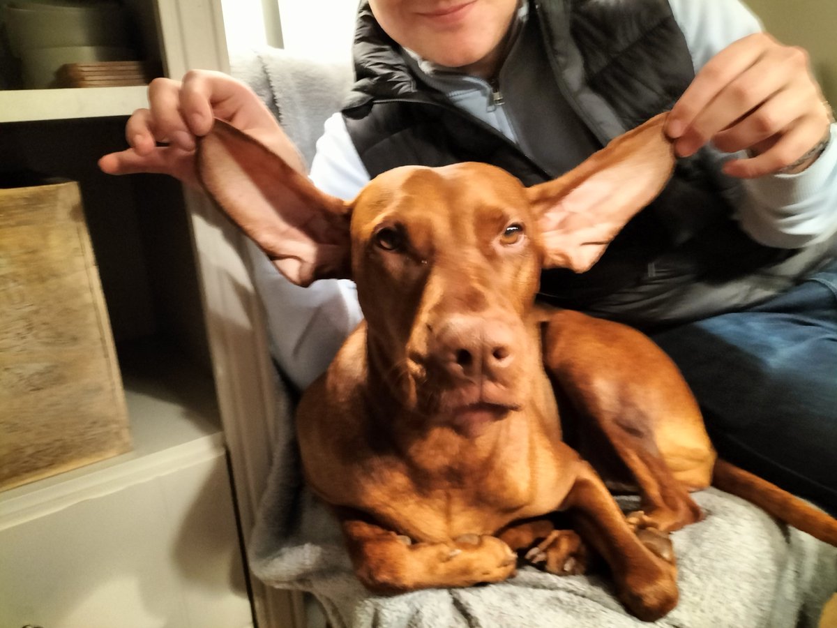 Think Bella is ready for take off 😍😍