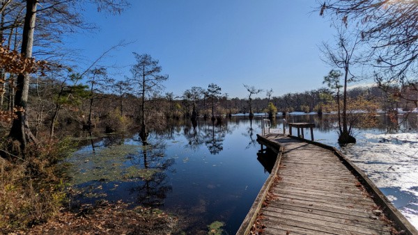 SnailPaceTrans's tweet image. Why You Need To Add This NC State Park To Your Bucket List buff.ly/3JyDhXR #explorenc #ncstateparks