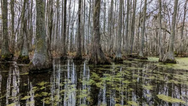 SnailPaceTrans's tweet image. Why You Need To Add This NC State Park To Your Bucket List buff.ly/3JyDhXR #explorenc #ncstateparks