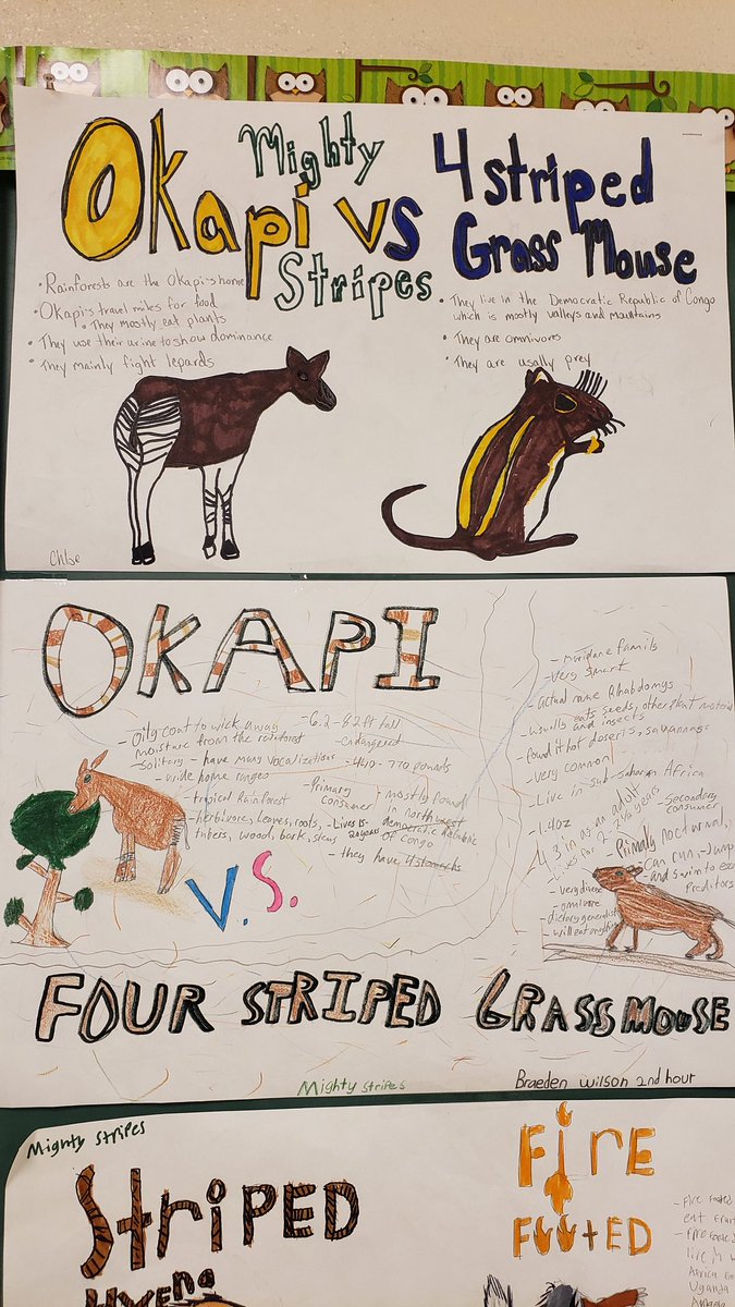 MrsWill77's tweet photo. March Mammal MADNESS begins! Check out these Round 1 battle match-up hype posters from 7th graders and 8th graders Tumble block art wall. #twolves7pride https://t.co/2gMVKoplVj