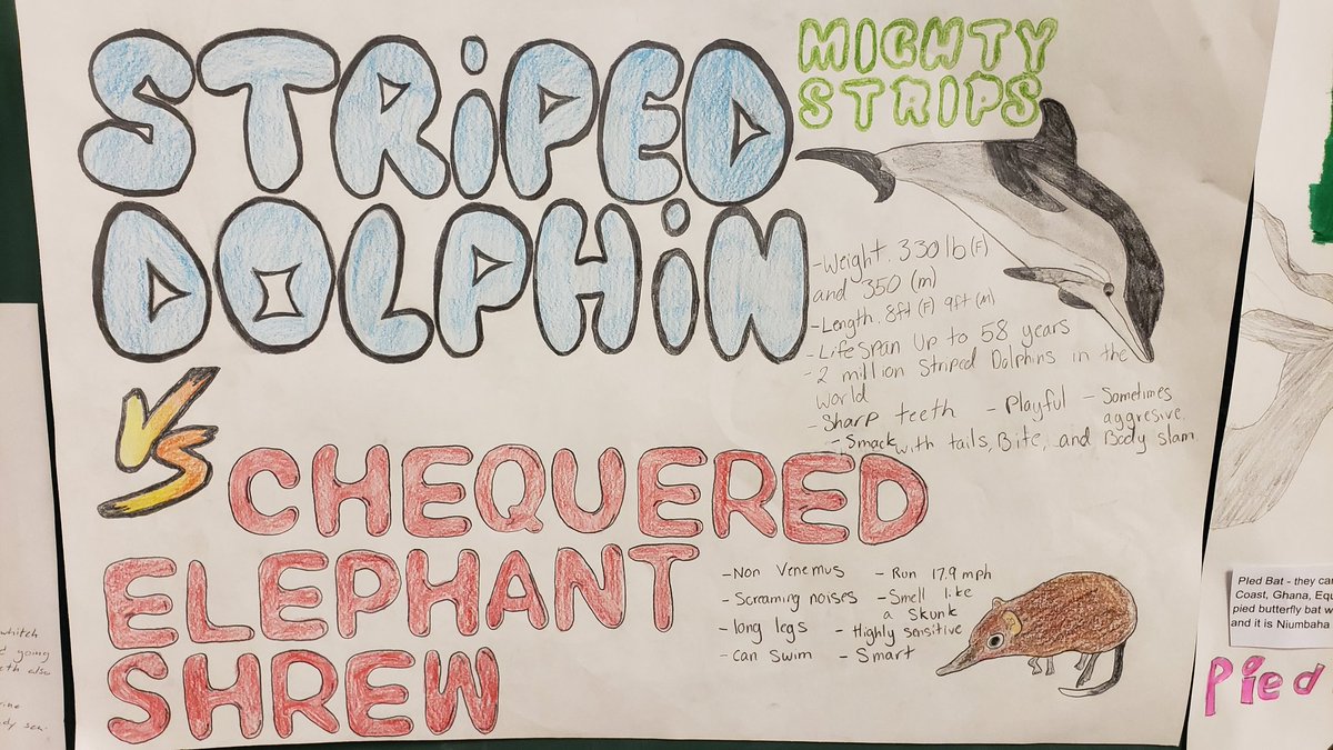 MrsWill77's tweet photo. March Mammal MADNESS begins! Check out these Round 1 battle match-up hype posters from 7th graders and 8th graders Tumble block art wall. #twolves7pride https://t.co/2gMVKoplVj