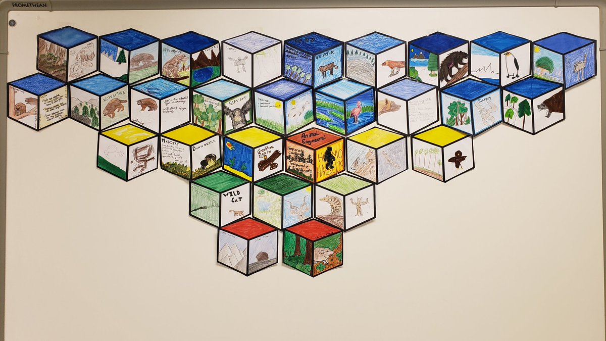 MrsWill77's tweet photo. March Mammal MADNESS begins! Check out these Round 1 battle match-up hype posters from 7th graders and 8th graders Tumble block art wall. #twolves7pride https://t.co/2gMVKoplVj