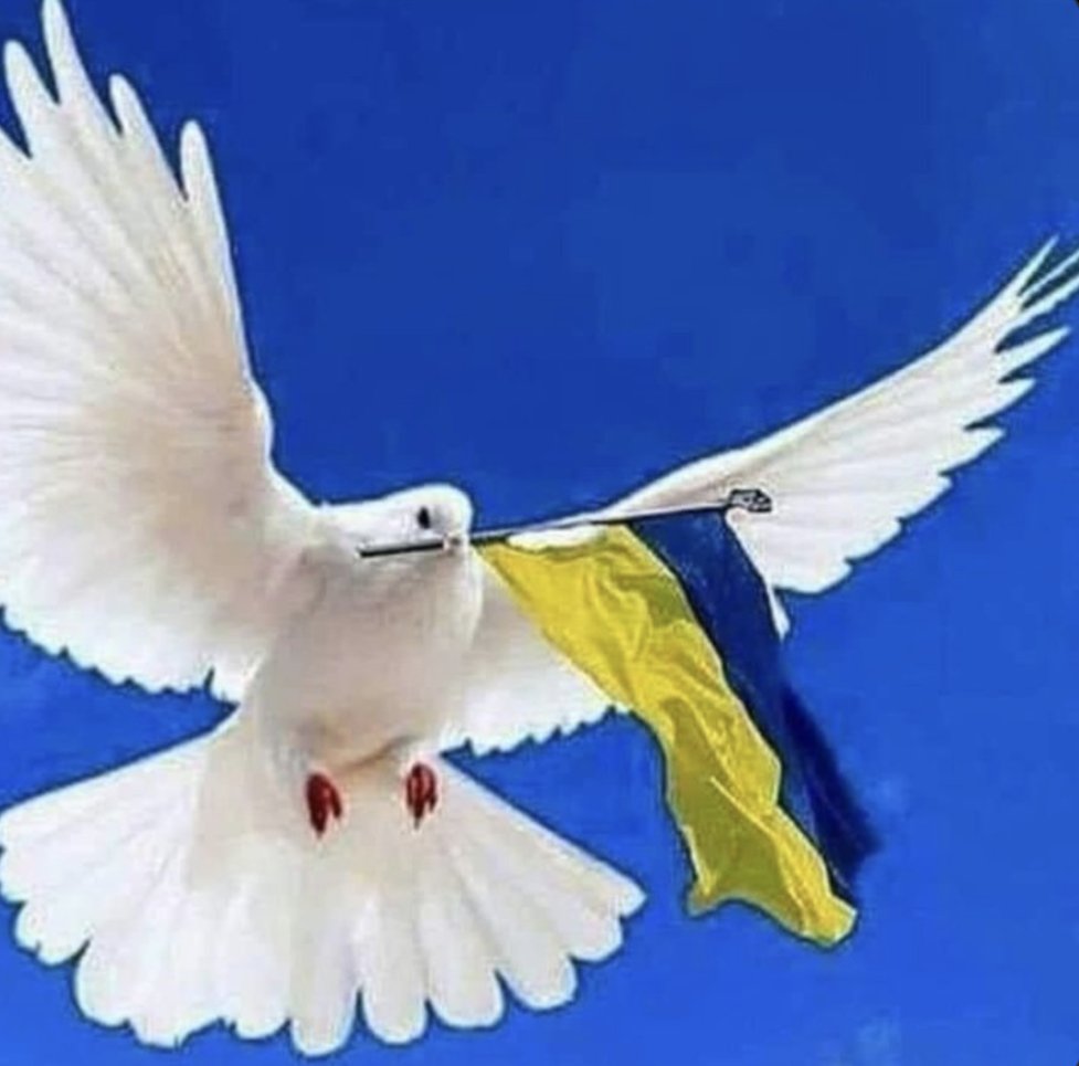 amriana's tweet photo. @ukrainiansquad #VictoryIsComingToUkraine
#HeroyamSlava
πππΊπ¦πΊπ¦πππΊπ¦πΊπ¦ππππππ¨π¦πΊπΈπ¬π§ππΊβ€οΈ https://t.co/dYEZdW54TQ
